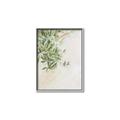 Picture of Few Olive Tree Leaves _GroupedProduct_Rectangle_Portrait_Photography _GroupedProduct_Rectangle_Portrait_Canvas_Framed_