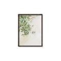 Picture of Few Olive Tree Leaves _GroupedProduct_Rectangle_Portrait_Photography _GroupedProduct_Rectangle_Portrait_Canvas_Framed_