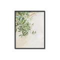 Picture of Few Olive Tree Leaves _GroupedProduct_Rectangle_Portrait_Photography _GroupedProduct_Rectangle_Portrait_Canvas_Framed_