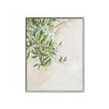 Picture of Few Olive Tree Leaves _GroupedProduct_Rectangle_Portrait_Photography _GroupedProduct_Rectangle_Portrait_Canvas_Framed_