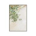 Picture of Few Olive Tree Leaves _GroupedProduct_Rectangle_Portrait_Photography _GroupedProduct_Rectangle_Portrait_Canvas_Framed_