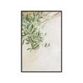 Picture of Few Olive Tree Leaves _GroupedProduct_Rectangle_Portrait_Photography _GroupedProduct_Rectangle_Portrait_Canvas_Framed_