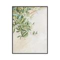 Picture of Few Olive Tree Leaves _GroupedProduct_Rectangle_Portrait_Photography _GroupedProduct_Rectangle_Portrait_Canvas_Framed_