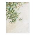 Picture of Few Olive Tree Leaves _GroupedProduct_Rectangle_Portrait_Photography _GroupedProduct_Rectangle_Portrait_Canvas_Framed_