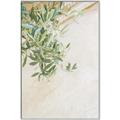 Picture of Few Olive Tree Leaves _GroupedProduct_Rectangle_Portrait_Photography _GroupedProduct_Rectangle_Portrait_Canvas_Framed_