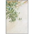 Picture of Few Olive Tree Leaves _GroupedProduct_Rectangle_Portrait_Photography _GroupedProduct_Rectangle_Portrait_Canvas_Framed_