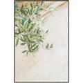 Picture of Few Olive Tree Leaves _GroupedProduct_Rectangle_Portrait_Photography _GroupedProduct_Rectangle_Portrait_Canvas_Framed_