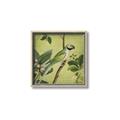 Picture of Vintage Tropical Birds I _GroupedProduct_Square_Canvas_Framed_