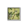 Picture of Vintage Tropical Birds I _GroupedProduct_Square_Canvas_Framed_
