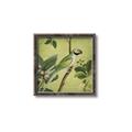 Picture of Vintage Tropical Birds I _GroupedProduct_Square_Canvas_Framed_