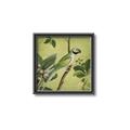 Picture of Vintage Tropical Birds I _GroupedProduct_Square_Canvas_Framed_