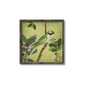 Picture of Vintage Tropical Birds I _GroupedProduct_Square_Canvas_Framed_