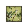 Picture of Vintage Tropical Birds I _GroupedProduct_Square_Canvas_Framed_
