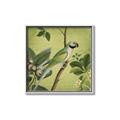 Picture of Vintage Tropical Birds I _GroupedProduct_Square_Canvas_Framed_