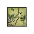 Picture of Vintage Tropical Birds I _GroupedProduct_Square_Canvas_Framed_