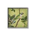 Picture of Vintage Tropical Birds I _GroupedProduct_Square_Canvas_Framed_