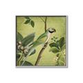 Picture of Vintage Tropical Birds I _GroupedProduct_Square_Canvas_Framed_