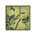 Picture of Vintage Tropical Birds I _GroupedProduct_Square_Canvas_Framed_