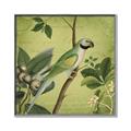 Picture of Vintage Tropical Birds I _GroupedProduct_Square_Canvas_Framed_