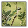 Picture of Vintage Tropical Birds I _GroupedProduct_Square_Canvas_Framed_