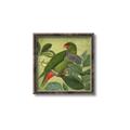 Picture of Vintage Tropical Birds II _GroupedProduct_Square_Canvas_Framed_