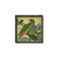 Picture of Vintage Tropical Birds II _GroupedProduct_Square_Canvas_Framed_