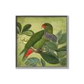 Picture of Vintage Tropical Birds II _GroupedProduct_Square_Canvas_Framed_