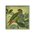 Picture of Vintage Tropical Birds II _GroupedProduct_Square_Canvas_Framed_