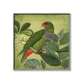 Picture of Vintage Tropical Birds II _GroupedProduct_Square_Canvas_Framed_