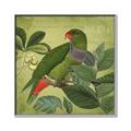 Picture of Vintage Tropical Birds II _GroupedProduct_Square_Canvas_Framed_