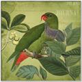 Picture of Vintage Tropical Birds II _GroupedProduct_Square_Canvas_Framed_