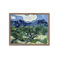 Picture of Vincent Van Gogh's Olive Trees With the Alpilles (1889) _GroupedProduct_Rectangle_Landscape_Framed_Matted_