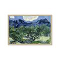 Picture of Vincent Van Gogh's Olive Trees With the Alpilles (1889) _GroupedProduct_Rectangle_Landscape_Framed_Matted_