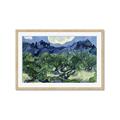 Picture of Vincent Van Gogh's Olive Trees With the Alpilles (1889) _GroupedProduct_Rectangle_Landscape_Framed_Matted_