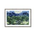 Picture of Vincent Van Gogh's Olive Trees With the Alpilles (1889) _GroupedProduct_Rectangle_Landscape_Framed_Matted_