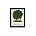 Picture of Kilmarnock Weeping Willow Tree Lithograph _GroupedProduct_Rectangle_Portrait_Framed_Matted_