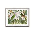 Picture of Green Nostalgic Tropical Birds _GroupedProduct_Rectangle_Landscape_Framed_Matted_