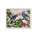 Picture of Blue Nostalgic Tropical Parrot Birds _GroupedProduct_Rectangle_Landscape_Framed_Matted_