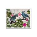 Picture of Blue Nostalgic Tropical Parrot Birds _GroupedProduct_Rectangle_Landscape_Framed_Matted_
