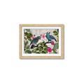 Picture of Blue Nostalgic Tropical Parrot Birds _GroupedProduct_Rectangle_Landscape_Framed_Matted_