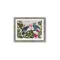 Picture of Blue Nostalgic Tropical Parrot Birds _GroupedProduct_Rectangle_Landscape_Framed_Matted_