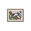 Picture of Blue Nostalgic Tropical Parrot Birds _GroupedProduct_Rectangle_Landscape_Framed_Matted_
