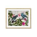 Picture of Blue Nostalgic Tropical Parrot Birds _GroupedProduct_Rectangle_Landscape_Framed_Matted_