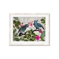 Picture of Blue Nostalgic Tropical Parrot Birds _GroupedProduct_Rectangle_Landscape_Framed_Matted_