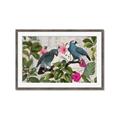 Picture of Blue Nostalgic Tropical Parrot Birds _GroupedProduct_Rectangle_Landscape_Framed_Matted_