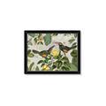 Picture of Parrots Nostalgic Journey 2 _GroupedProduct_Rectangle_Landscape_Framed_Matted_