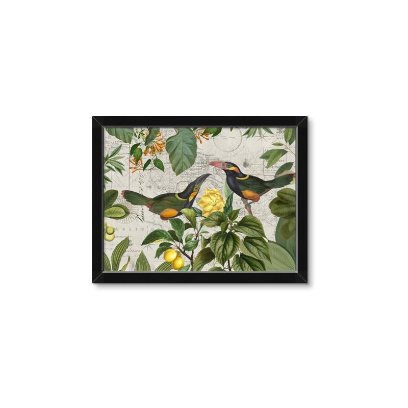 Picture of Parrots Nostalgic Journey 2 _GroupedProduct_Rectangle_Landscape_Framed_Matted_