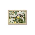 Picture of Parrots Nostalgic Journey 2 _GroupedProduct_Rectangle_Landscape_Framed_Matted_