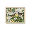 Picture of Parrots Nostalgic Journey 2 _GroupedProduct_Rectangle_Landscape_Framed_Matted_