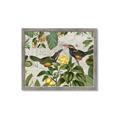 Picture of Parrots Nostalgic Journey 2 _GroupedProduct_Rectangle_Landscape_Framed_Matted_